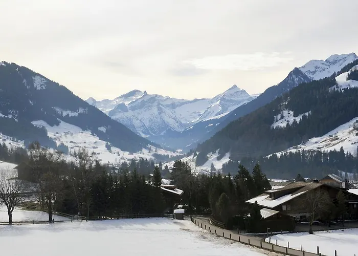 Hotel Bellerive Gstaad