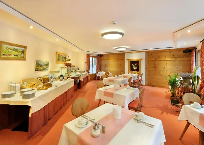 Отель Bellerive 3*